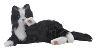 Companion Pets Black and White Tuxedo Cat 2120605