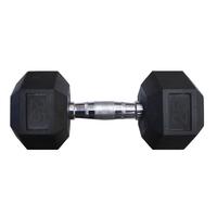 Hex Rubber Dumbbell, 25 Pounds 2120900
