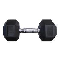 Hex Rubber Dumbbell, 20 Pounds 2121249