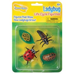 Image for Insect Lore Ladybug Life Cycle Stages, Set of 4 from School Specialty