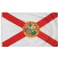 Annin Nylon Florida Heavy Weight Outdoor State Flag, 3 X 5 ft, Item Number 017154