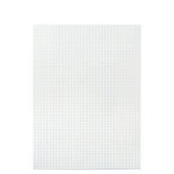 Image for School Smart Graph Paper, 1/4 Inch Rule, 9 x 12 Inches, White, 500 Sheets from School Specialty