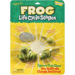 Image for Insect Lore Life Cycle Stages, Frog, Set of 4 from School Specialty
