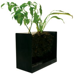 Image for Science First Root Tank from School Specialty