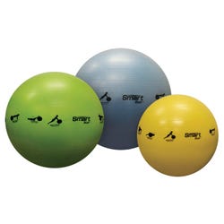 Image for Smart Stability Ball, 65 Centimeters, Green from School Specialty