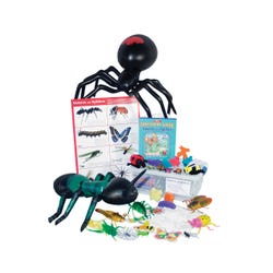 Image for Delta PreK Discovery Insects and Spiders Kit from School Specialty