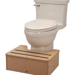 Image for Potty Step from School Specialty