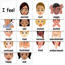 Image for SchKIDules Feelings Magnet Pack, Set of 18 from School Specialty