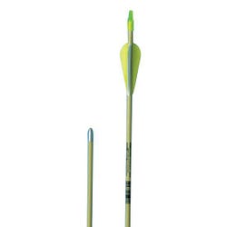 Image for FlagHouse Fiberglass Archery Target Arrow for School & Recreation, 28 Inches from School Specialty