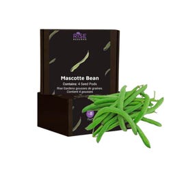 Mascotte Bean 4 Pack 2131227