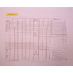 Image for Hammond & Stephens Data Insert for Cumulative Record Folder, 9 x 11-3/4 Inches, Set of 25 from School Specialty