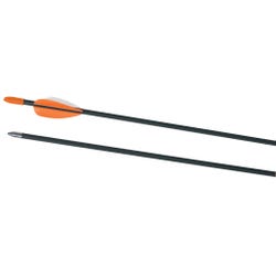 Image for Safety Glass Archery Arrows, 28 Inches, Pack of 72 from School Specialty