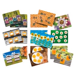 Image for Yellow Door Honey Bee Early Number Cards, Set of 16 from School Specialty