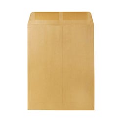 Image for Quality Park Catalog Envelopes, 10 x 13 Inches, Kraft Brown, Box of 100 from School Specialty